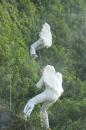 l appel de bodin 032 * 2848 x 4272 * (5.46MB)